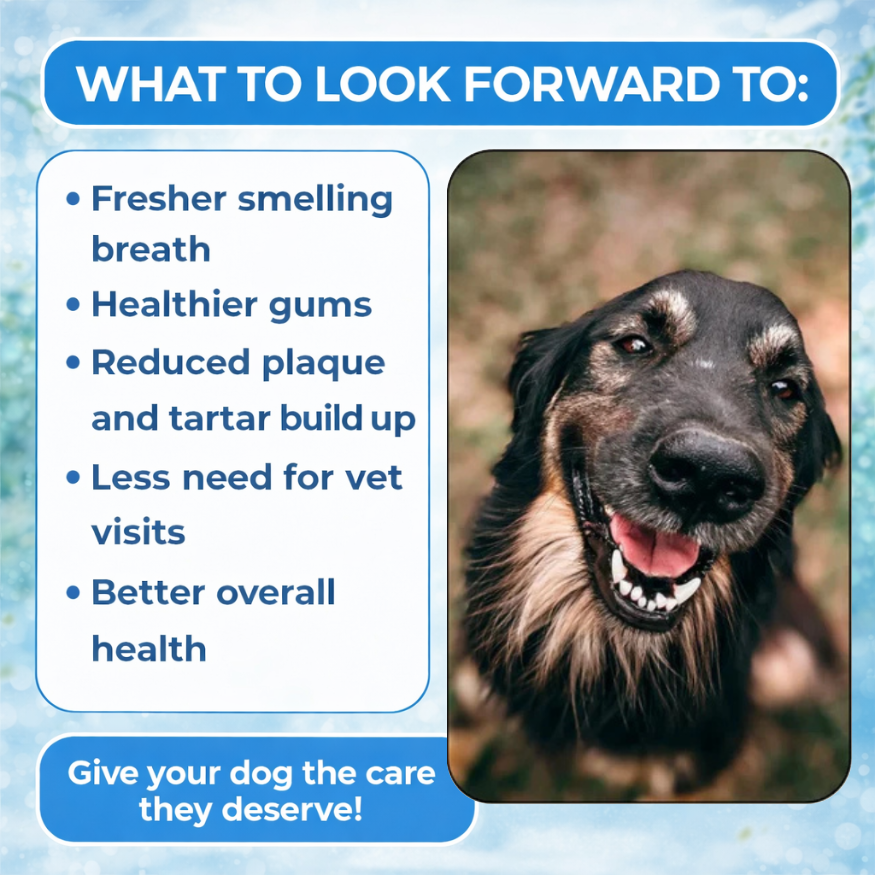 Total Oral Health Powder V3 - NutriVitalPro™