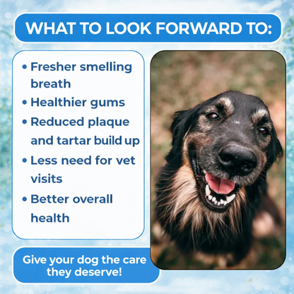 Total Oral Health Powder V3 - NutriVitalPro™
