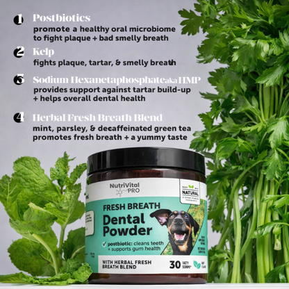 Total Oral Health Powder V3 - NutriVitalPro™