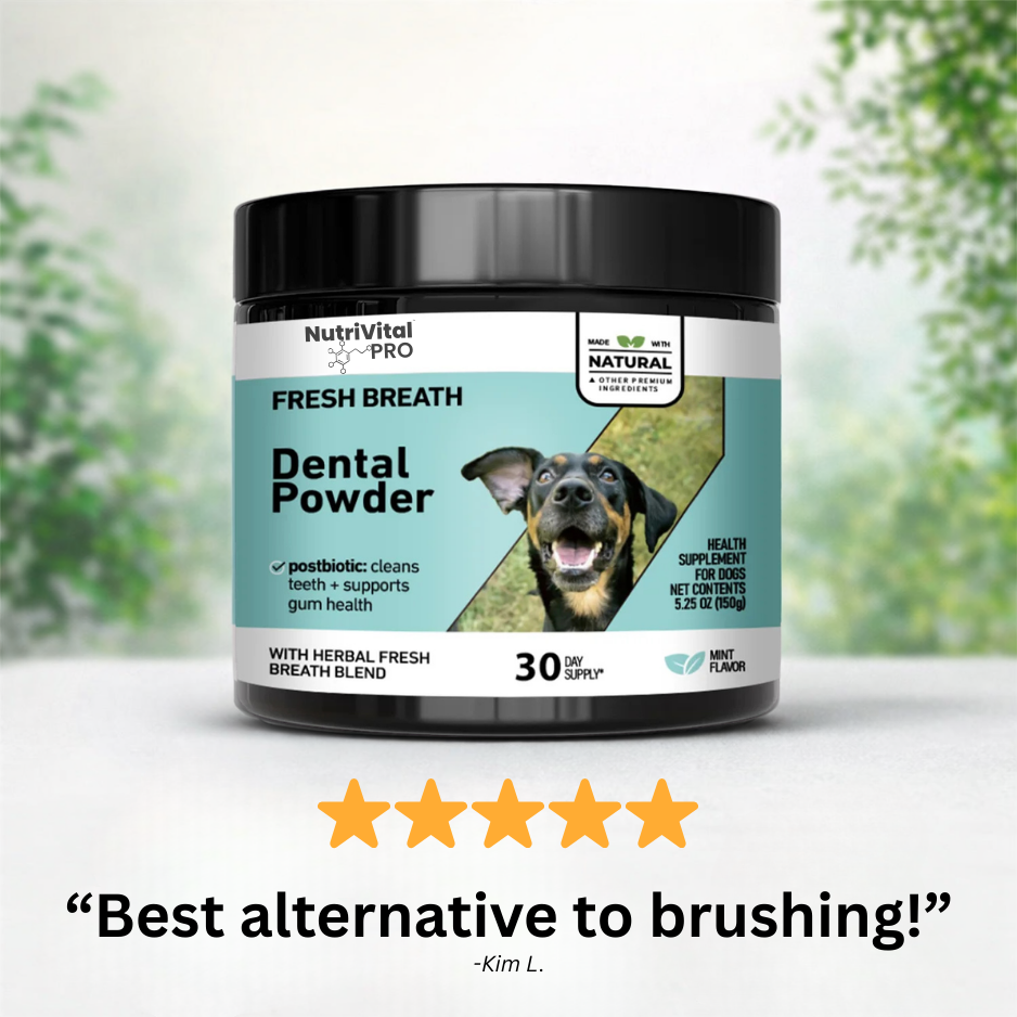 Total Oral Health Powder V3 - NutriVitalPro™
