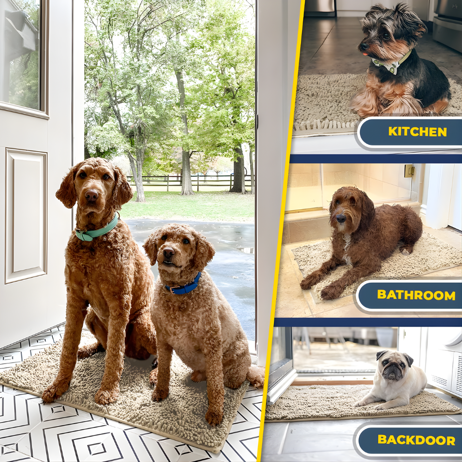 HomeShield Paw Mat - NV.PRO™