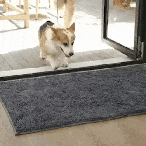 HomeShield Paw Mat - NV.PRO™