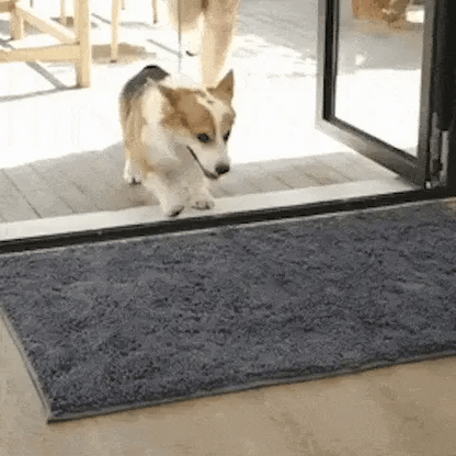 HomeShield Paw Mat - NV.PRO™